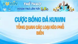 Cược Bóng Đá KUWIN – Tổng Quan Các Loại Kèo Phổ Biến